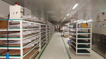 響應一帶一路倡議，燈具塑件企業(yè)積極拓展海外市場