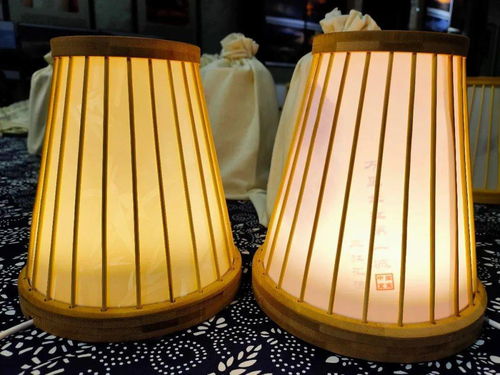 宜賓造智能竹燈發(fā)布 科技文創(chuàng)產品新玩法，燈具塑件引領未來